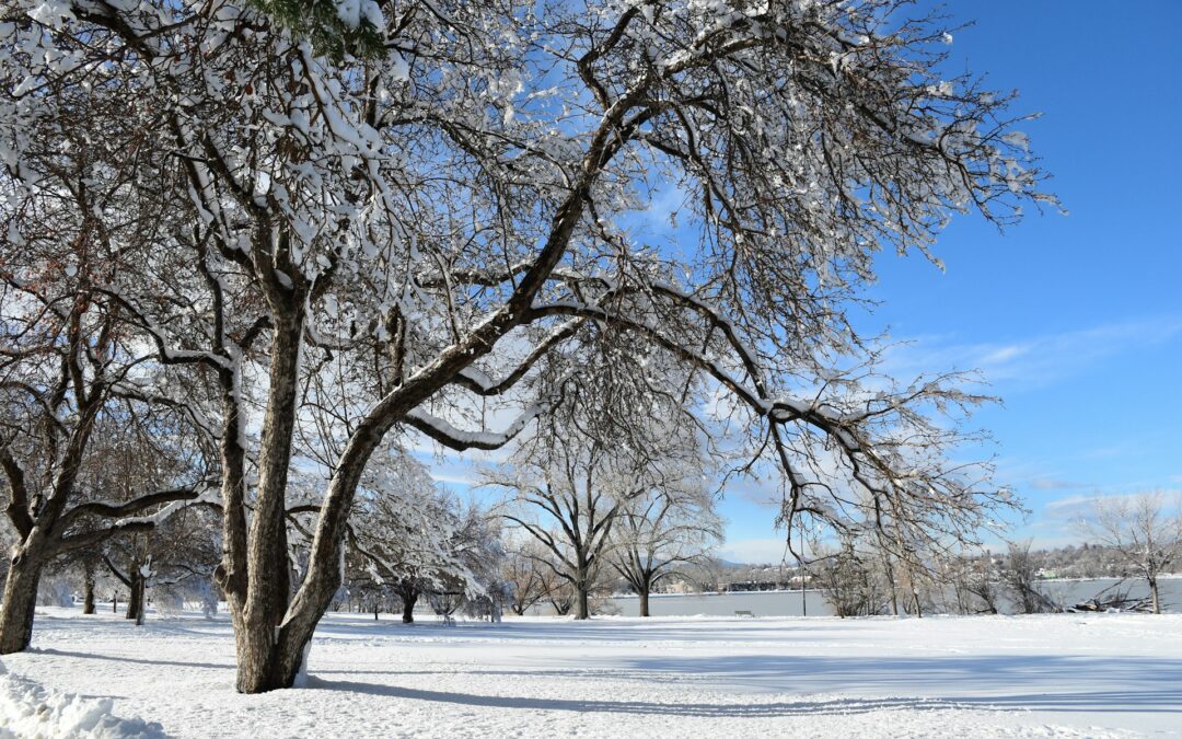 Snowy scene of Denver in Winter